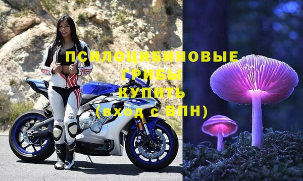 ECSTASY Абаза