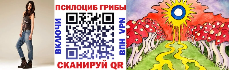 mega наркошоп Агидель Галлюциногенные грибы MAGIC MUSHROOMS